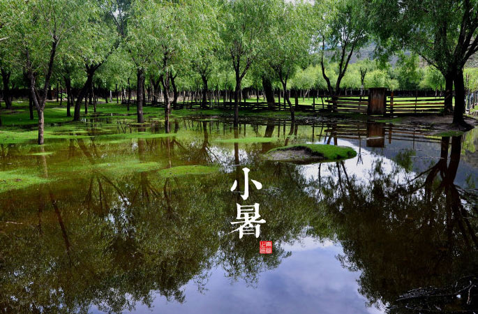 2013小暑节气的时间