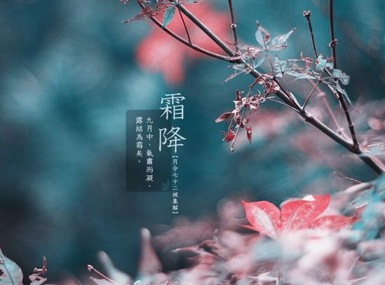 2014霜降是几月几日