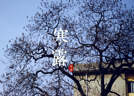 今年寒露是几月几号